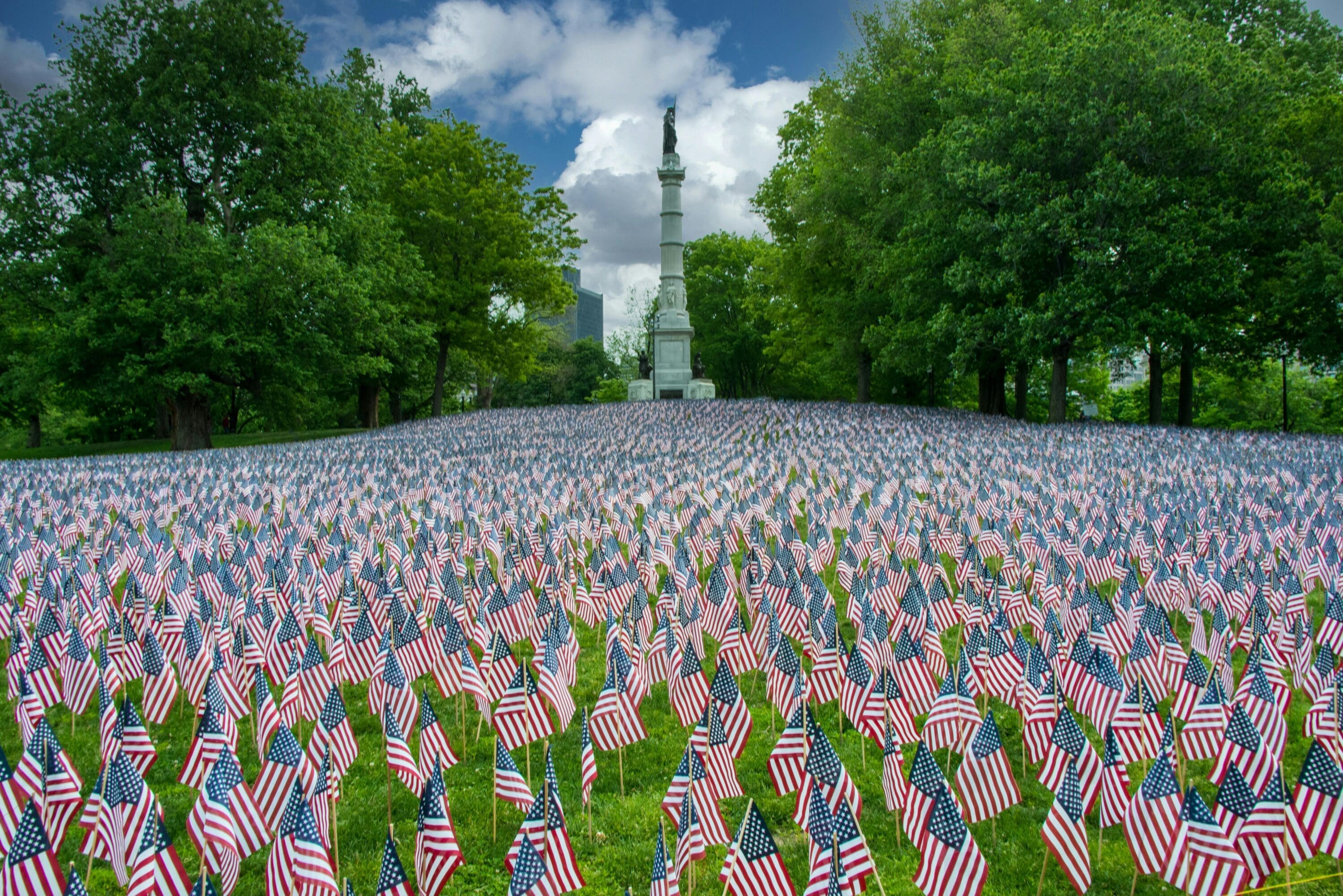 American flags on green grass field