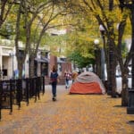 Seattle Has Voted to Build Social Housing Seattle Has Voted to Build Social Housing