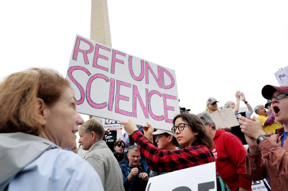 Protesters watch a series of speakers at a "Hands Off" rally to demonstrate against U.S. President Donald Trump near the Washington Monument on the National Mall on April 5 in Washington, DC.