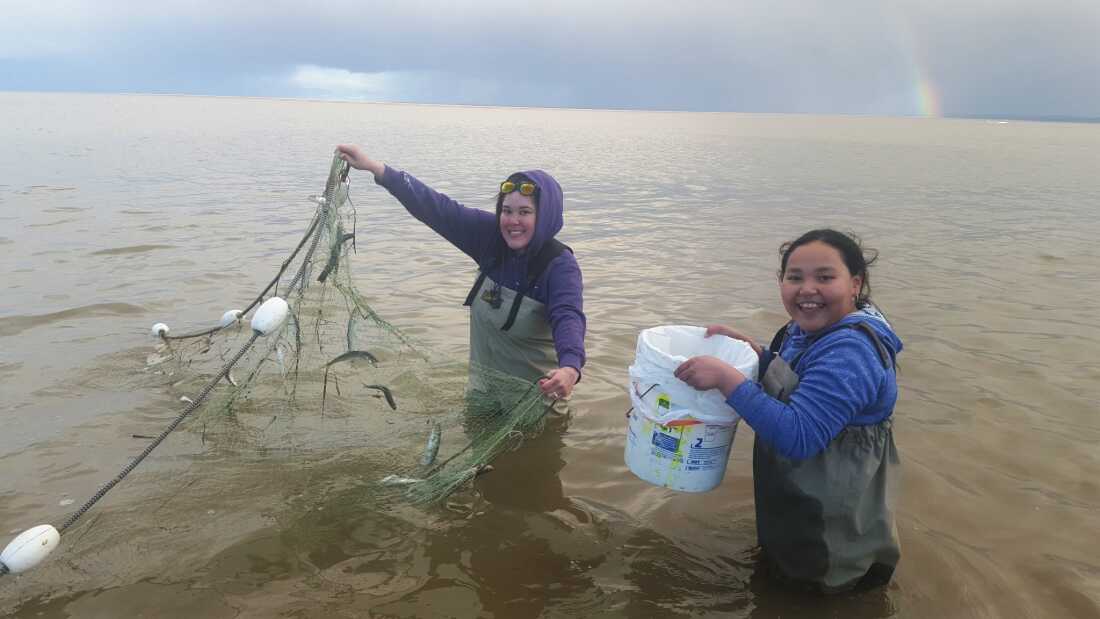 A photograph showing a woman and her daughter waist deep in water. The woman holds up a fishing net with a few smelt caught in it, and the daughter holds a bucket. They both smile at the camera. A rainbow appears on the horizon. 